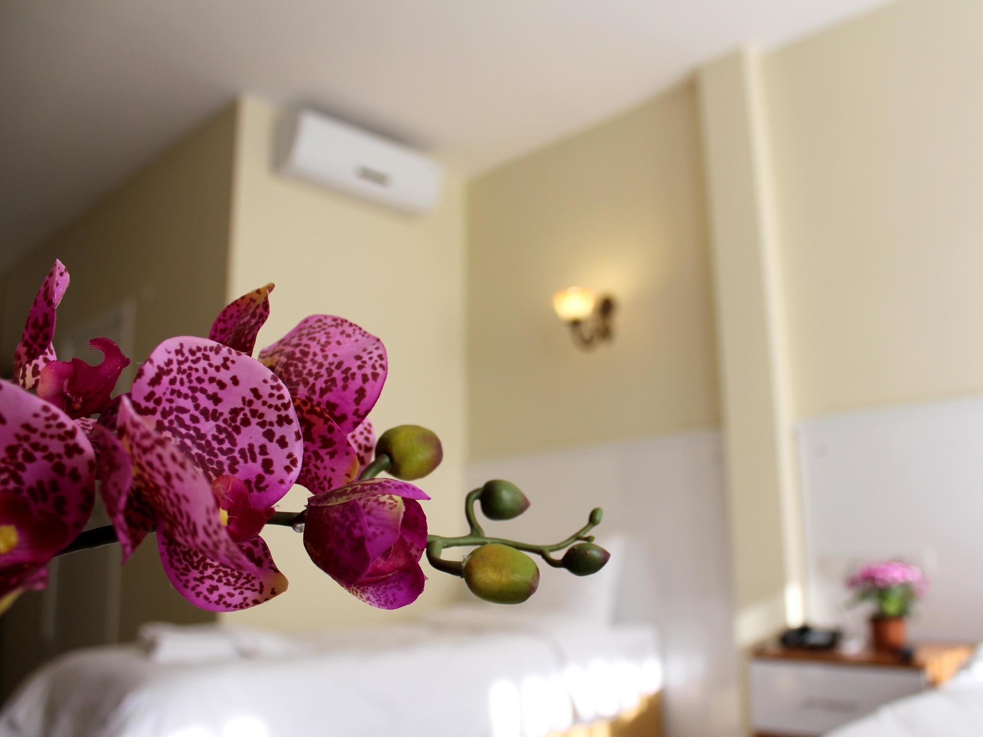 Pera Main Hotel İstanbul Dış mekan fotoğraf